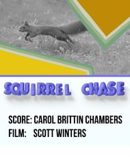 Squirrel Chase Multi Media Video - Digital or Audio with Synchronization Software link
